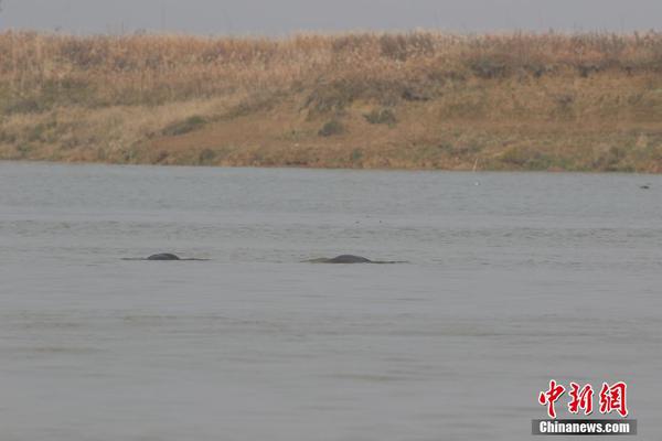 Valheim怎么在瓦尔海姆钓鱼比较好