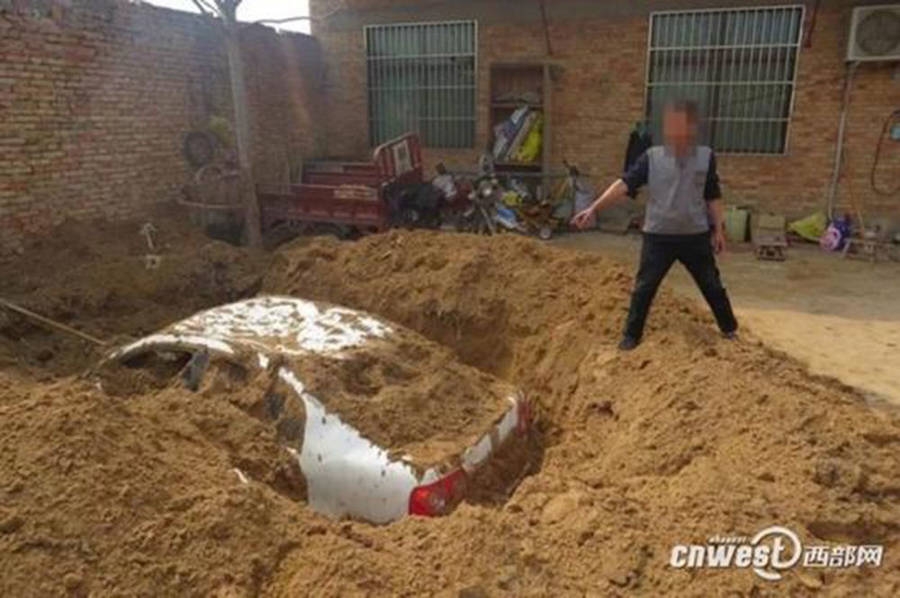 Grounded感染狼蛛一般居住在哪里